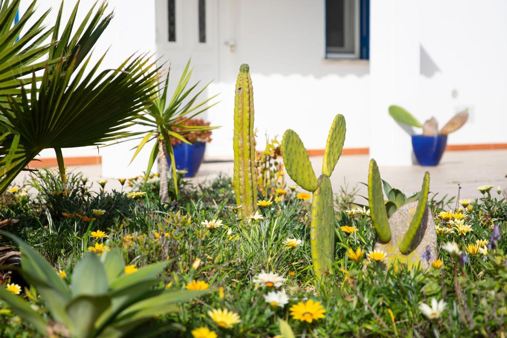 Marecasa Villa Aljezur Exterior foto